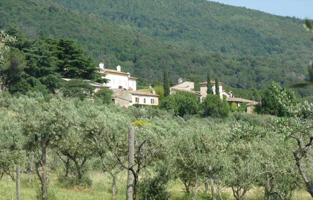 Della Genga Resort Arezzola Quarto foto